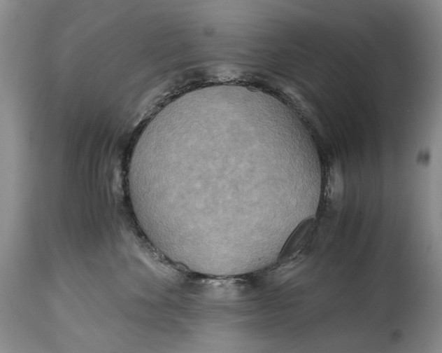 X0000114560524200911091221