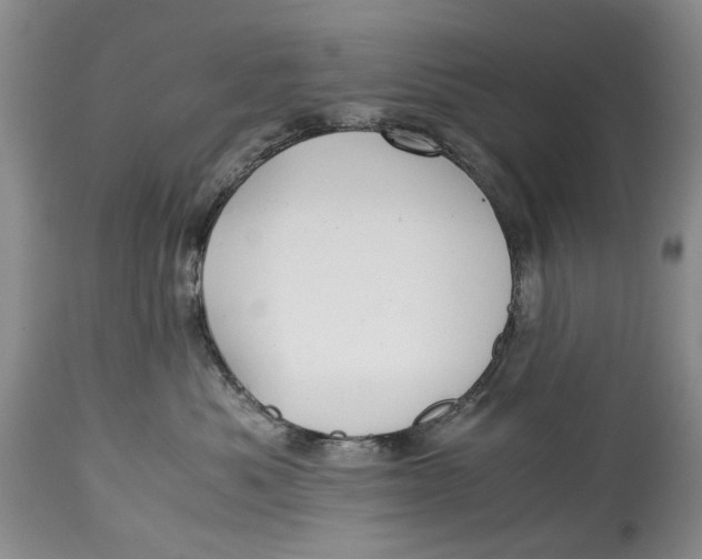 X0000114560525200911091221