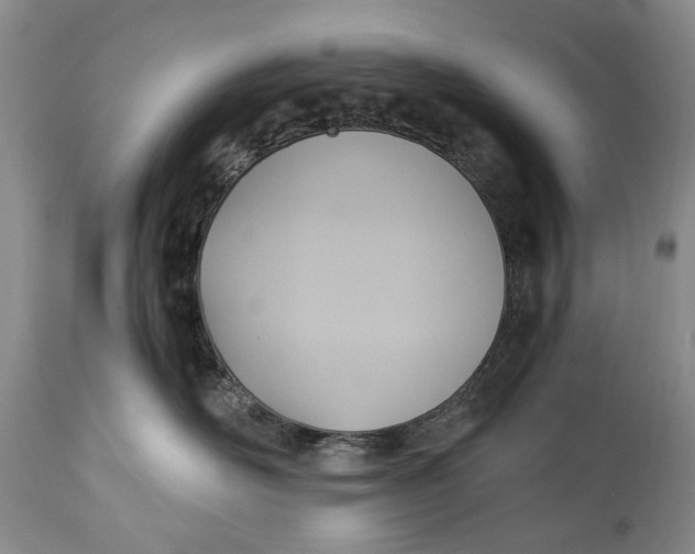 X0000114560526200911091221