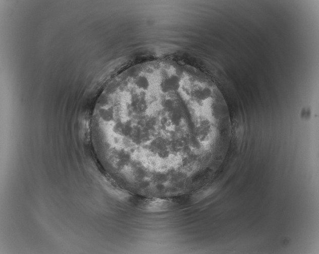 X0000114560527200911091221