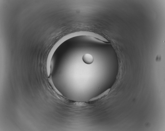 X0000114560528200911091221