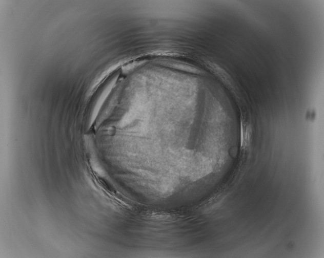 X0000114560531200911091220