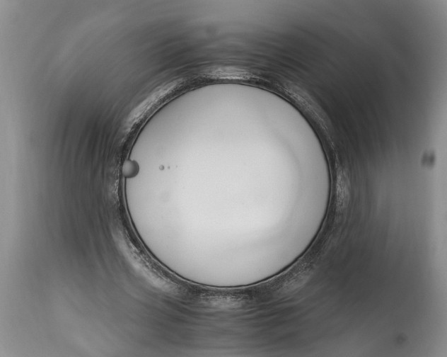 X0000114560533200911091220