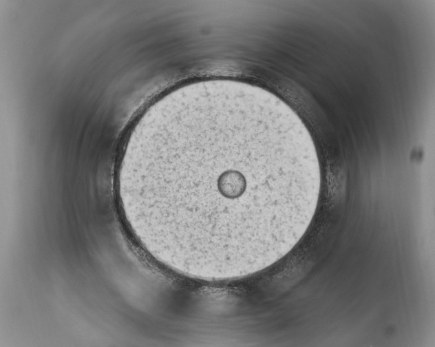 X0000114560534200911091220