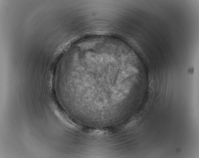 X0000114560542200911091220
