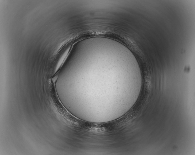 X0000114560543200911091220