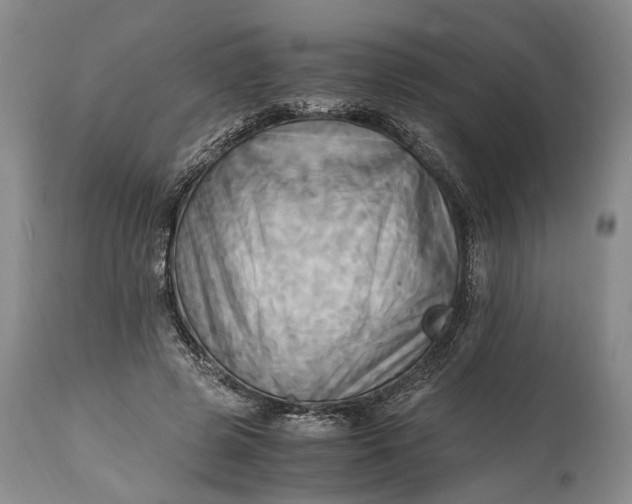 X0000114560545200911091220