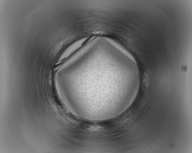 X0000114560547200911091220