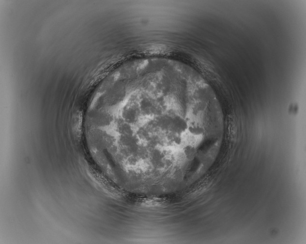X0000114560550200911091220