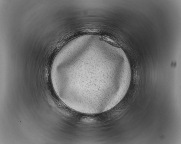 X0000114560551200911091220