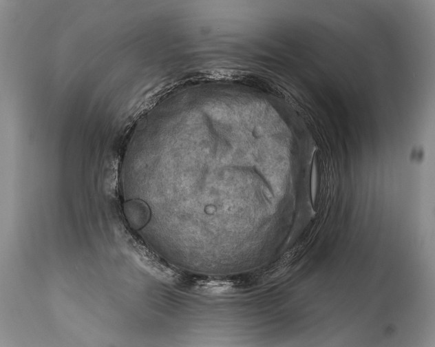 X0000114560554200911091220