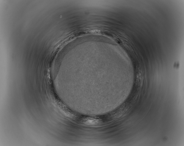 X0000114560555200911091220