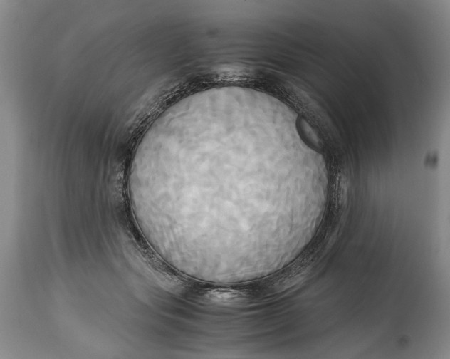 X0000114560557200911091220