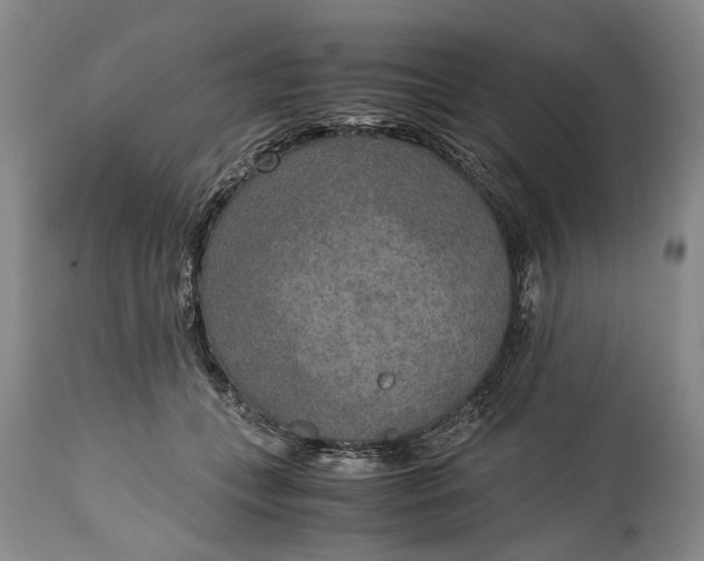 X0000114560559200911091220