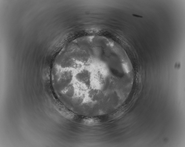 X0000114560561200911091220