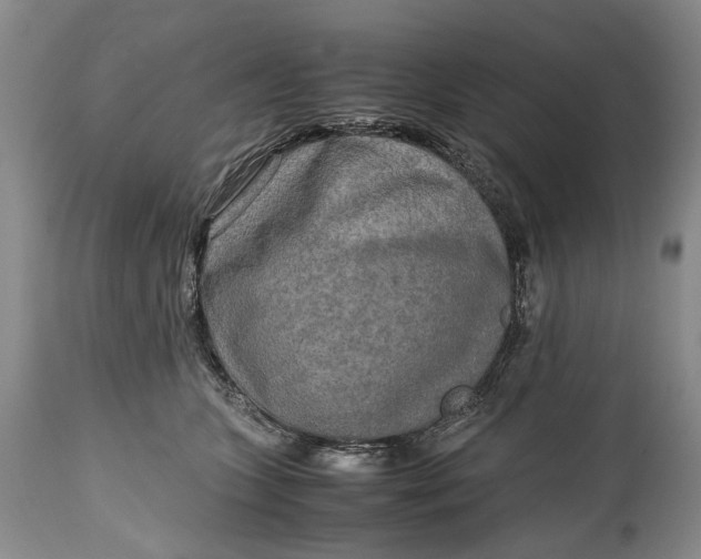 X0000114560563200911091220