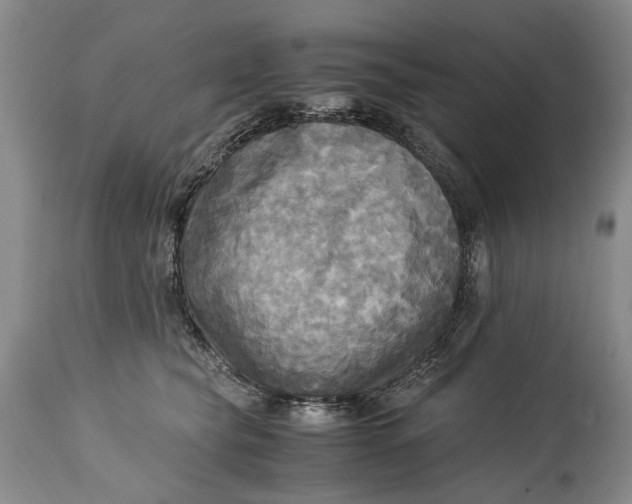 X0000114560565200911091220