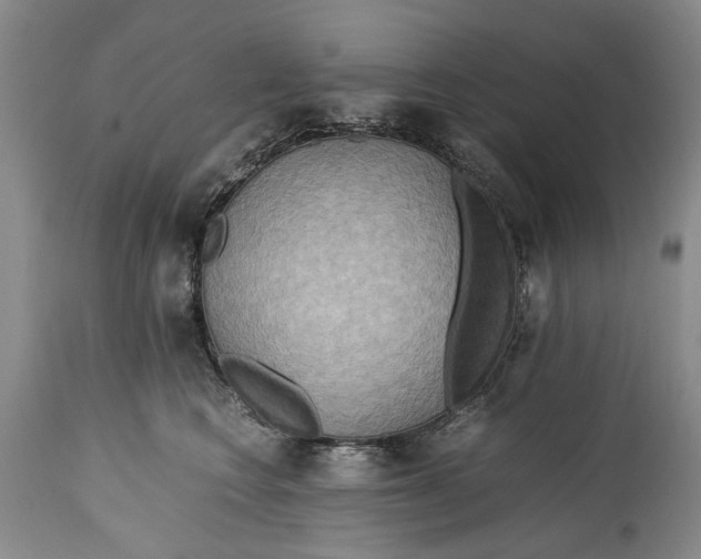 X0000114560566200911091220
