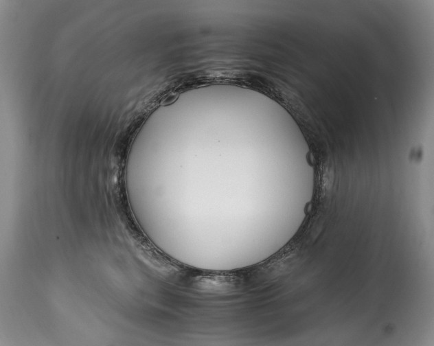 X0000114560567200911091220