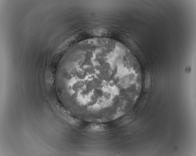 X0000114560569200911091220