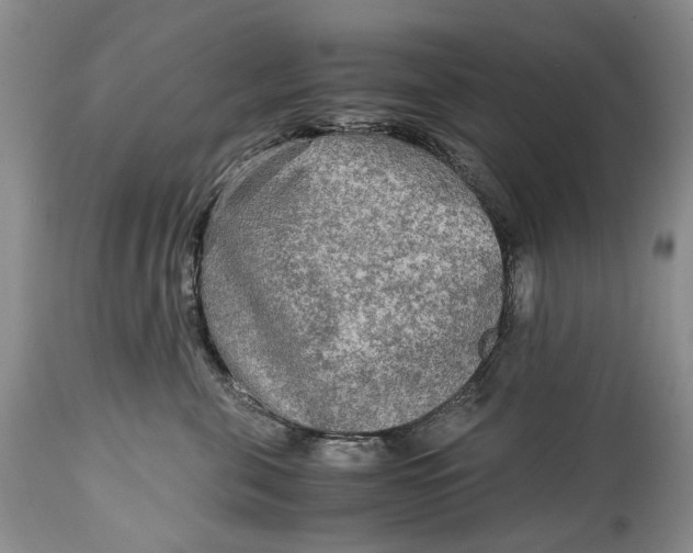 X0000114560571200911091220