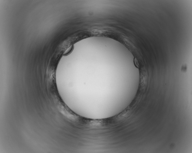 X0000114560574200911091221