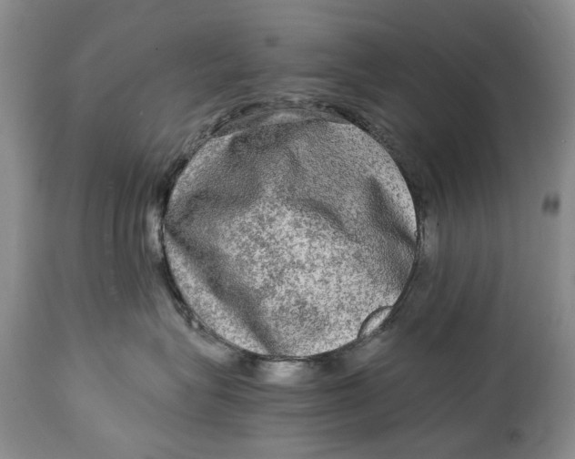 X0000114560575200911091221