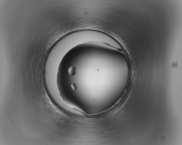 X0000114560577200911091220