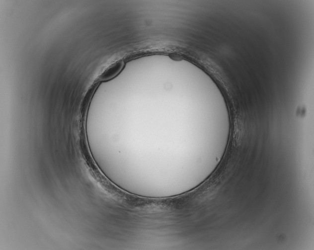 X0000114560578200911091220
