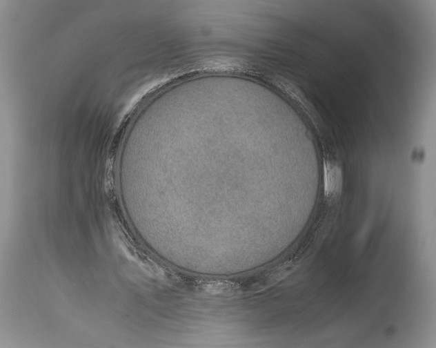 X0000114560579200911091220