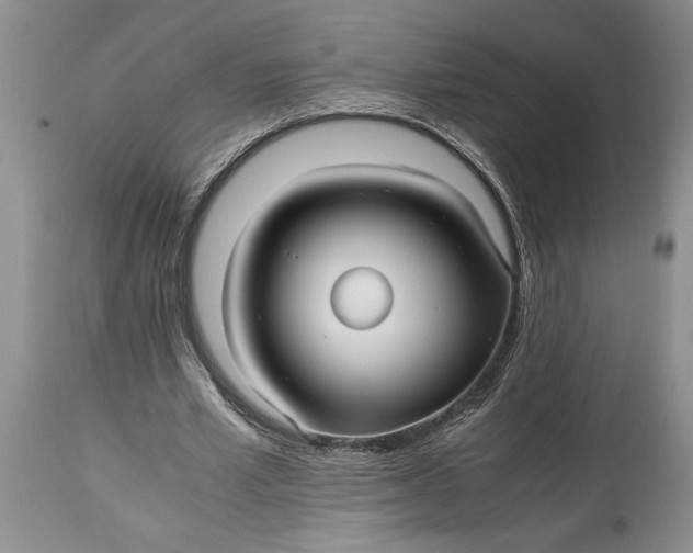 X0000114560581200911091220