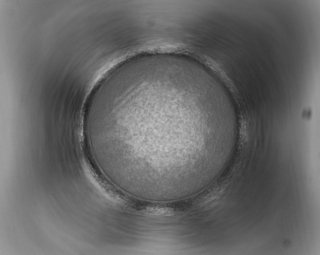 X0000114560582200911091220