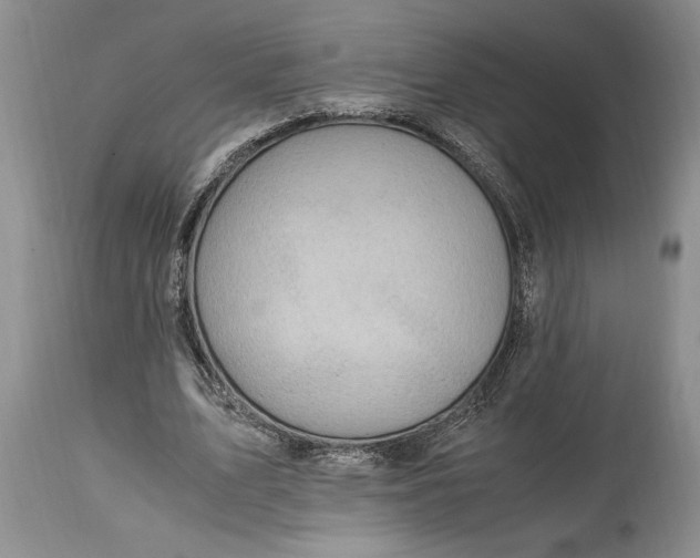 X0000114560583200911091220