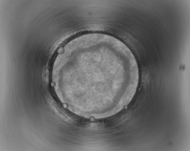 X0000114560584200911091220
