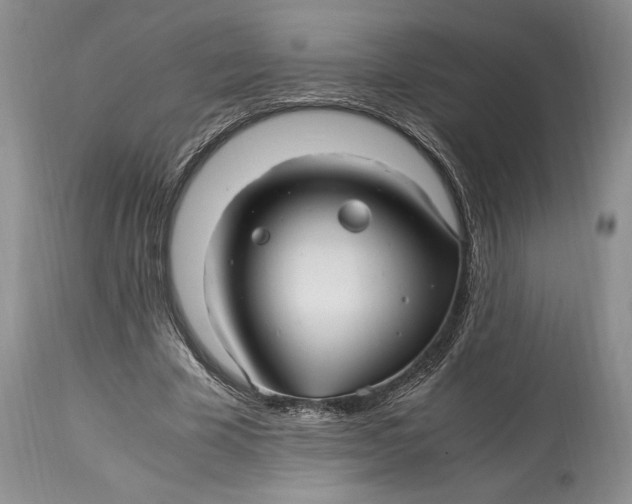 X0000114560585200911091220