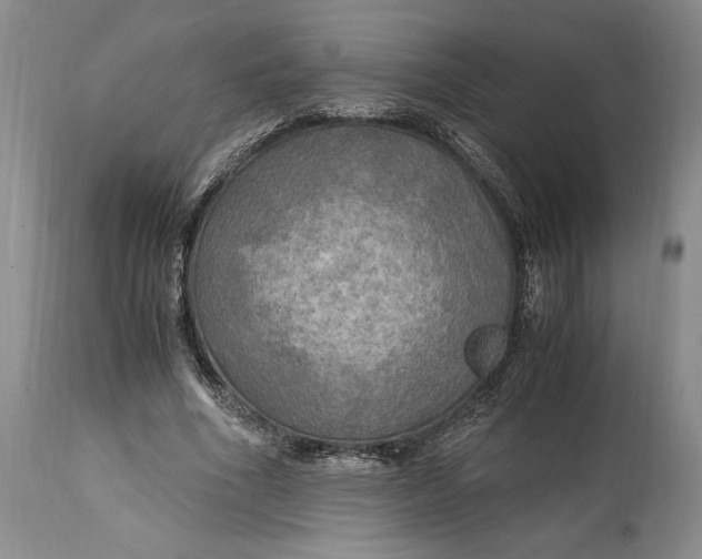 X0000114560586200911091220