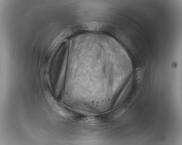 X0000114560589200911091220