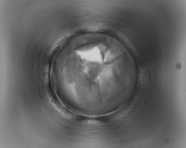X0000114560590200911091220