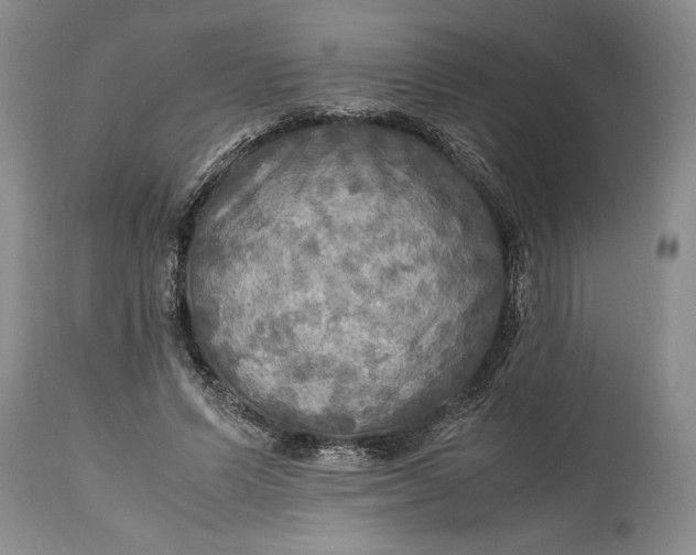 X0000114560591200911091220