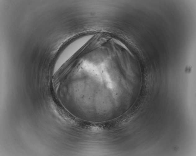 X0000114560592200911091220