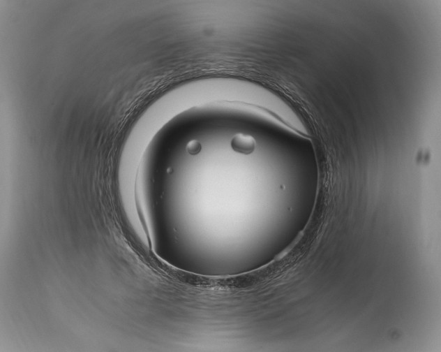X0000114560593200911091220