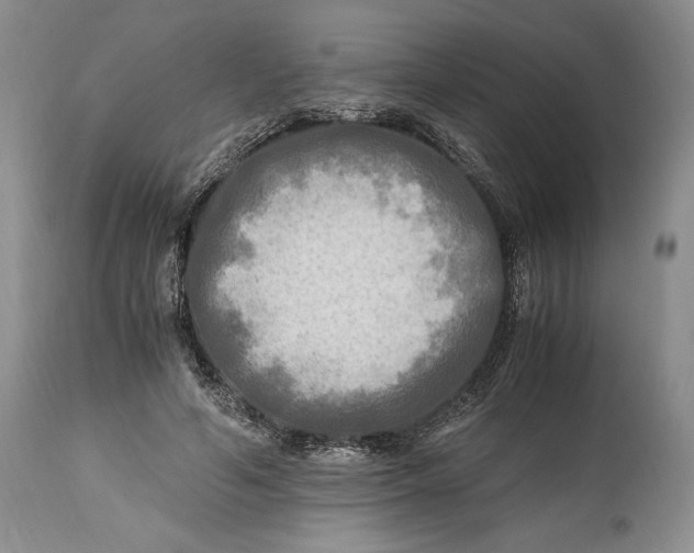X0000114560594200911091220