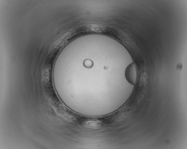 X0000114560595200911091220