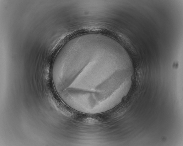 X0000114560596200911091220