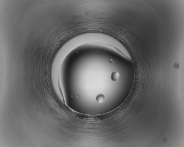 X0000114560597200911091220