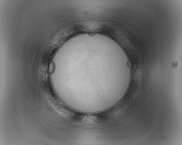 X0000114560599200911091220