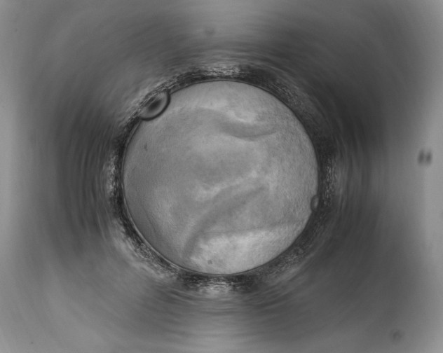 X0000114560600200911091220