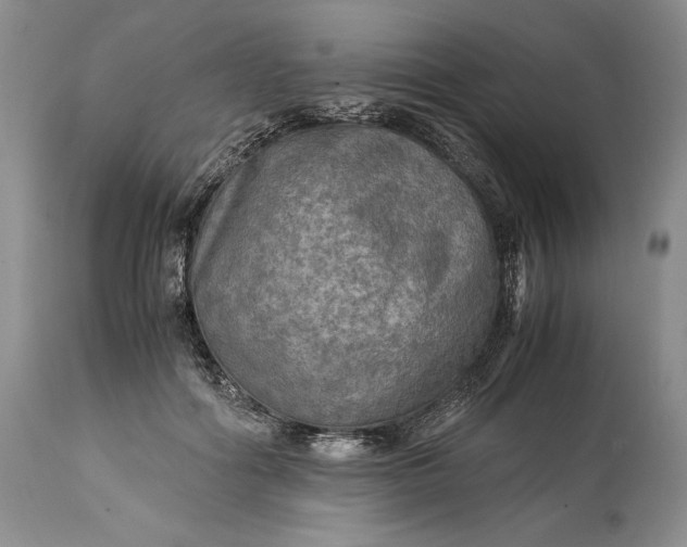 X0000114560602200911091220