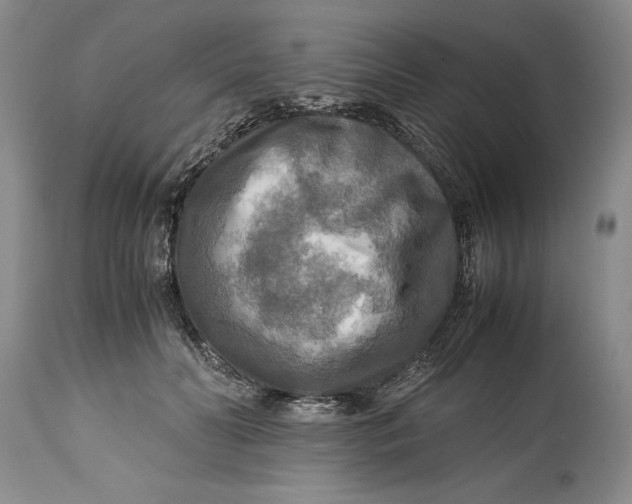 X0000114560606200911091219