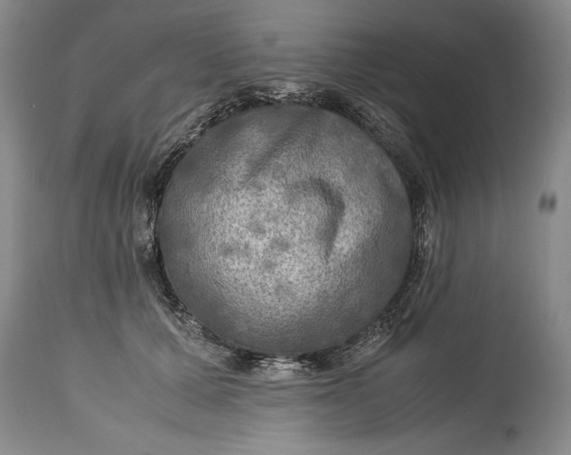 X0000114560607200911091219